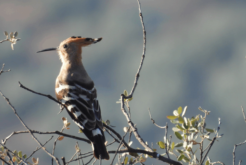 Sin Titulo 2 1024x687