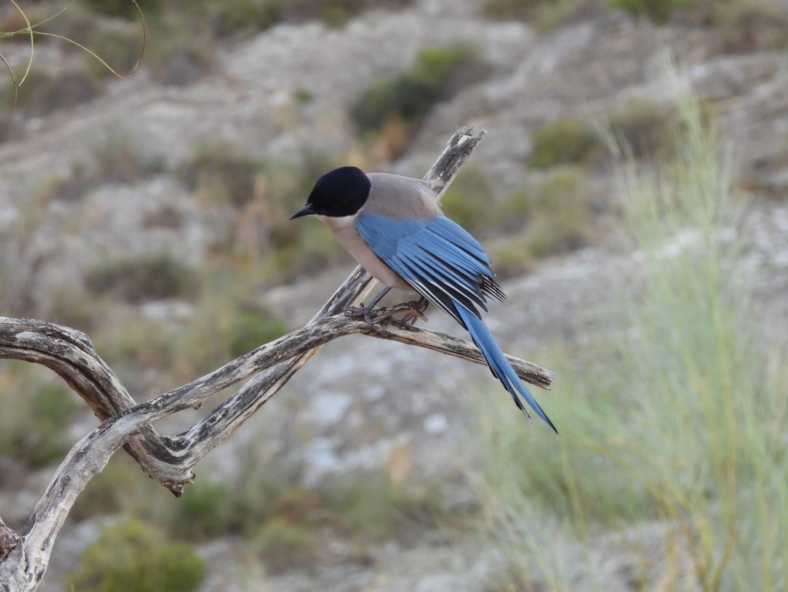 whatsapp image 2025 11 22 at 11.30.20