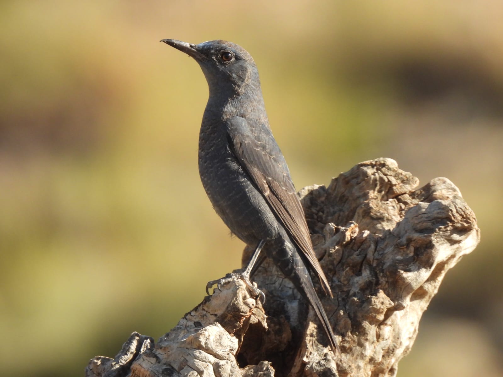 whatsapp image 2025 11 22 at 11.30.20